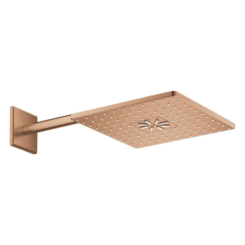 RSH SmartActive 310 headshower set