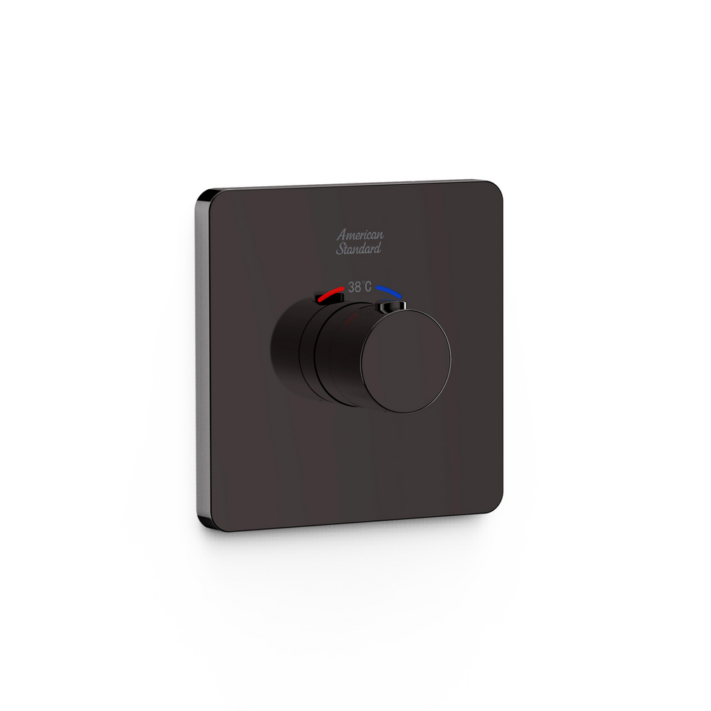 Conceal Thermostatic Mixer w/ Trim (Brushed Hard Graphite)