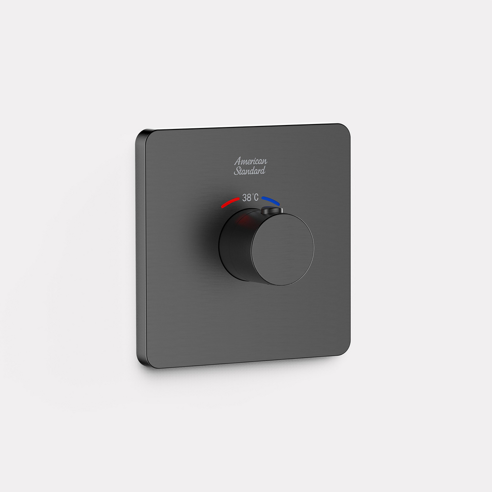 Conceal Thermostatic Mixer w/ Trim (Hard Graphite)